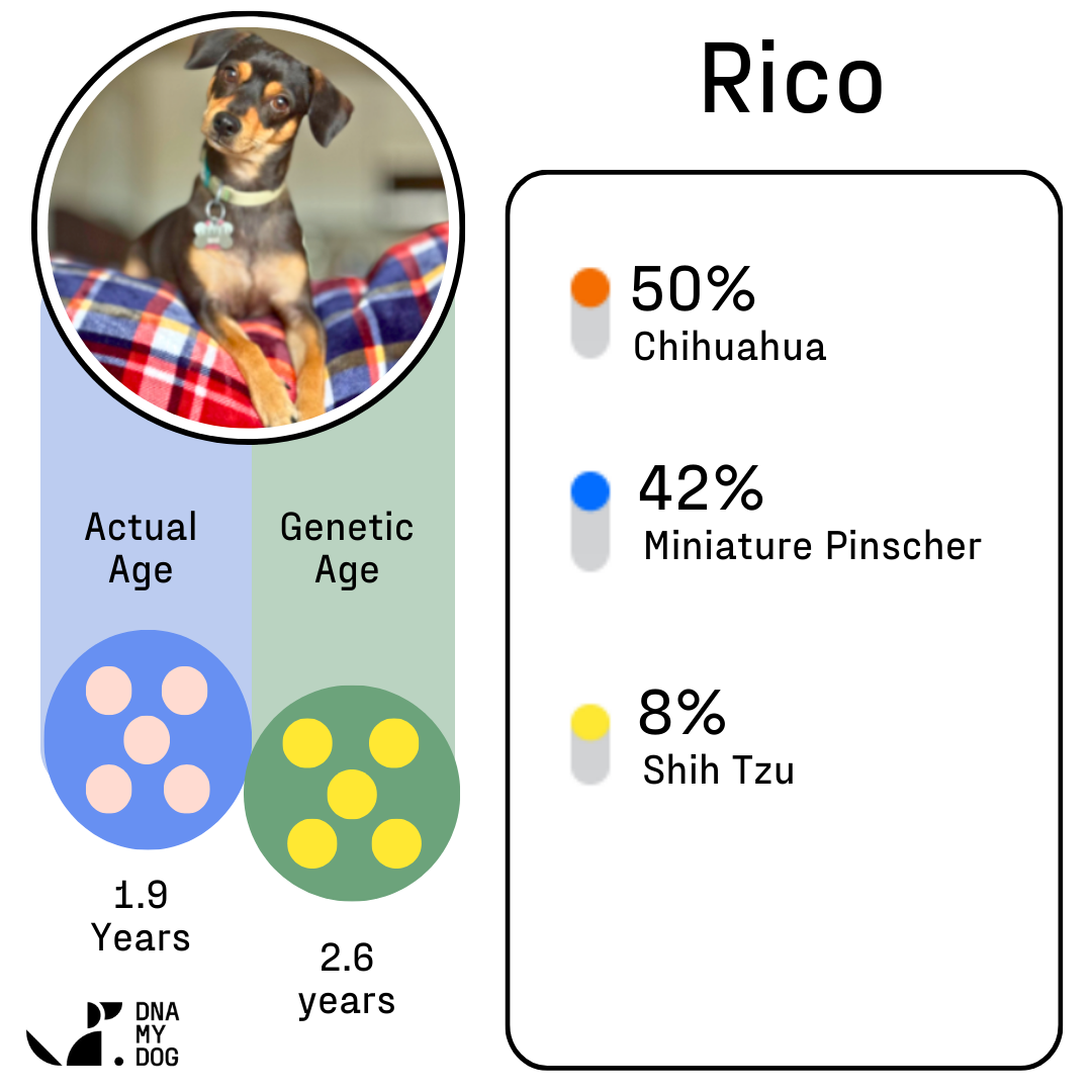 result