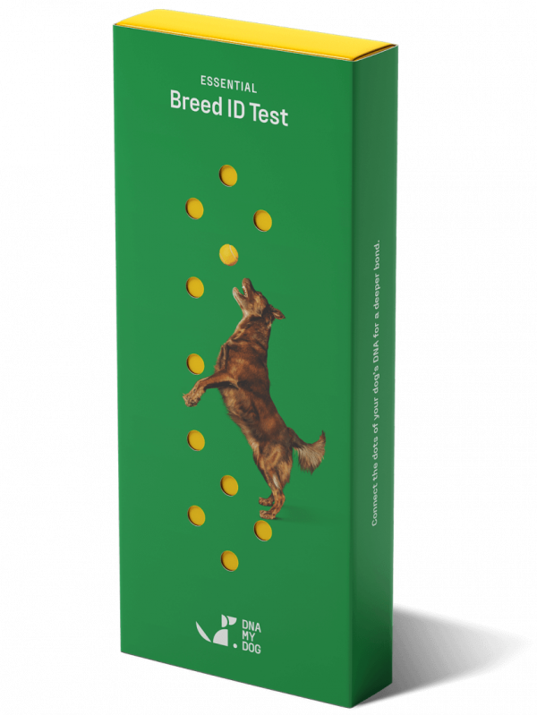 DNA My Dog Essential Breed ID Test box angled left