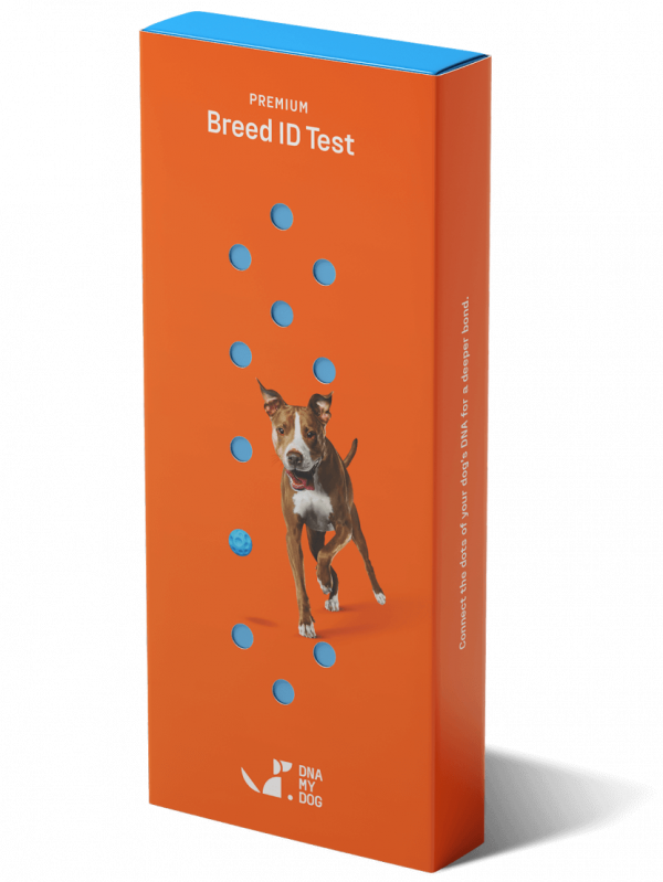 DNA My Dog Premium Breed ID Test box angled left